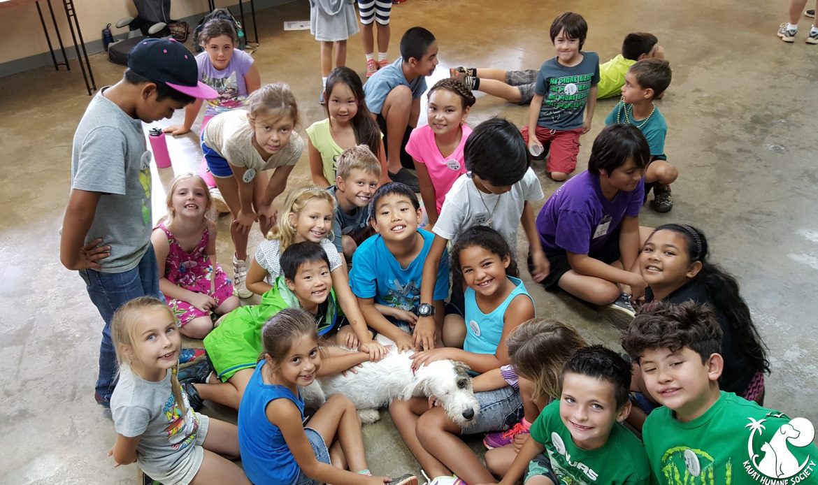 Critter Camp at Kauai Humane Society