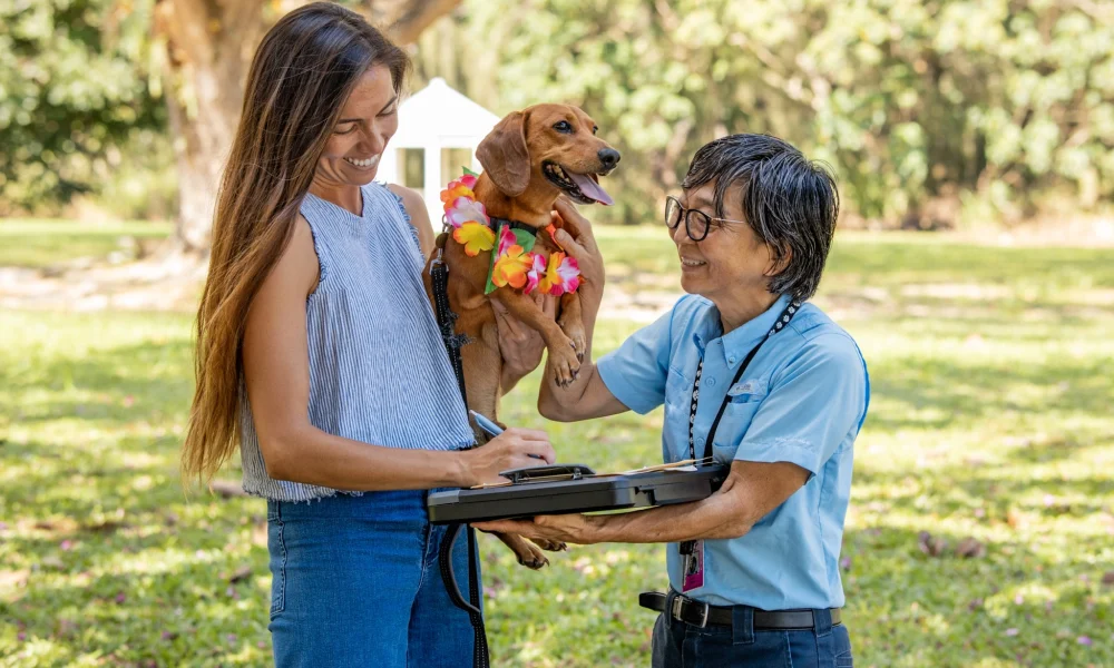 direct-release-on-kauai