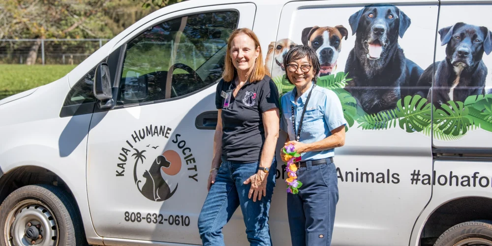 direct-release-team-kauai