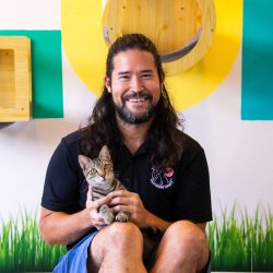 KHS staff member with a shelter cat