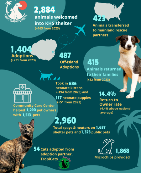 Spring Appeal 2024 Review Flyer - UPDATED