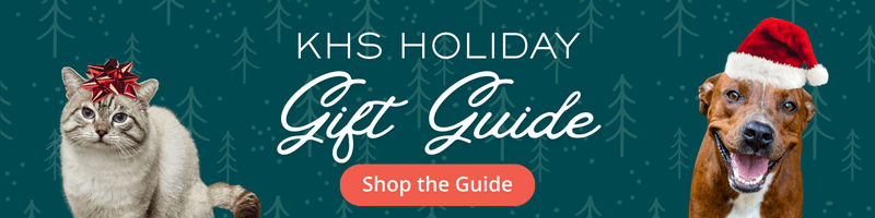 2025 holiday gift guide (1) 2025 holiday gift guide (1)