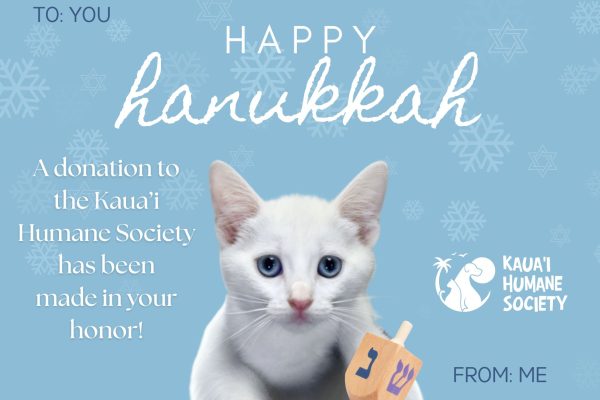 happy hannukah 2025 e card with cat