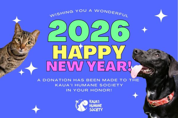 happy new year e card 2026