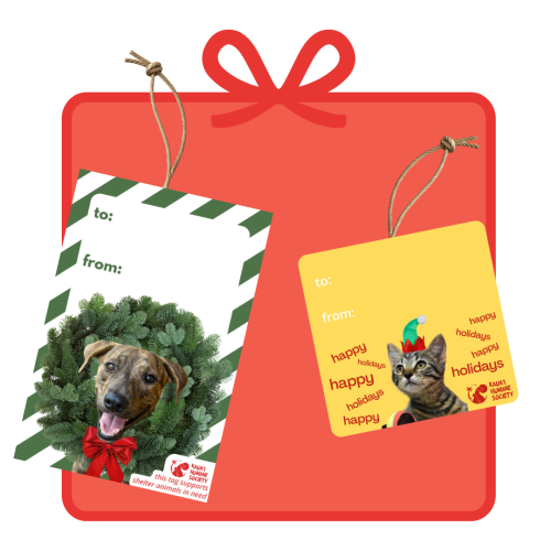 KHS 2025 Gift Guide Ideas