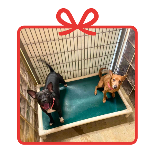 KHS 2025 Gift Guide Ideas