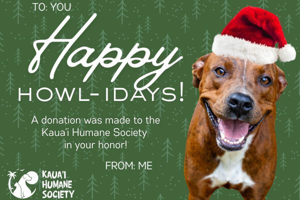 happy holidays e card with dog