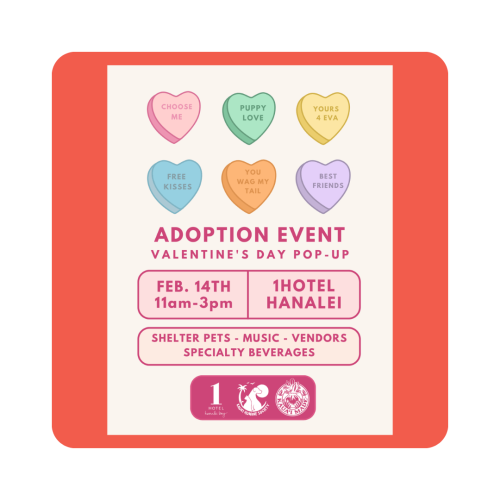 1hotel_adoption_event[1]