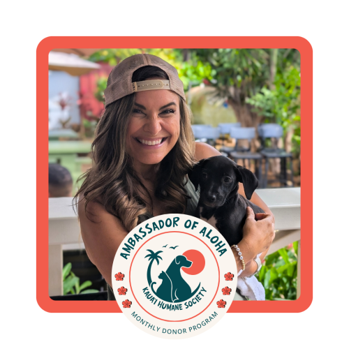 monthly_giving_program[1]