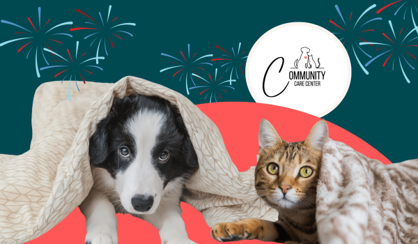Prepare for July 4th with the Community Care Center